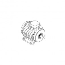 Электродвигатель для сушильных камер для сушки древесины, Италия